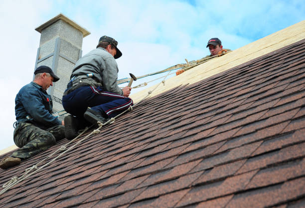 Best Roof Gutter Cleaning  in Cherryvale, KS